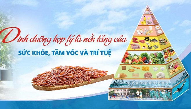 Thực đơn dinh dưỡng - Sản phẩm dinh dưỡng